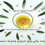 فوائد مغلي ورق الزيتون وكيفية استعماله للصحة والجمال